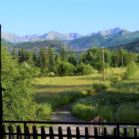 Pensjonat U Doroty, Zakopane - Twoje Miejsce W Gorach Екстериор снимка