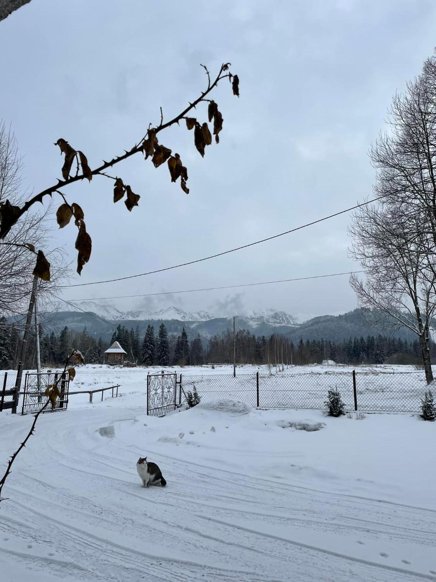 Pensjonat U Doroty, Zakopane - Twoje Miejsce W Gorach Екстериор снимка